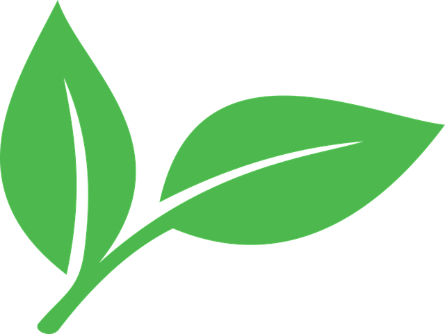 Free green leaf plant illustration
