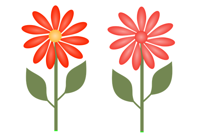 Free flowers decoration floral vector