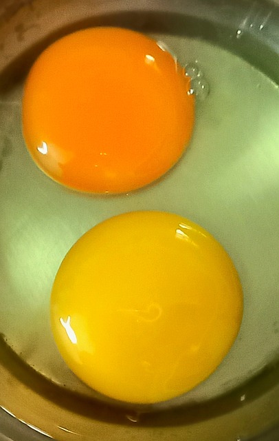 Free Egg Yolk photo and picture