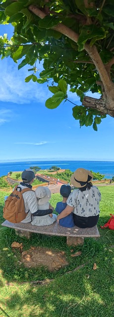 Free 风景 自然 photo and picture