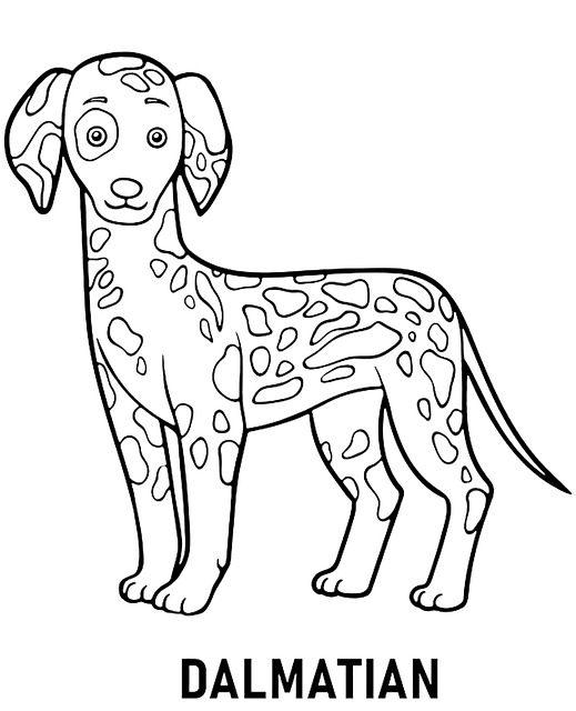 Free Dalmatian Dog photo and picture