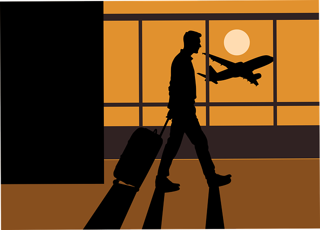 Viaggio, Aeroporto, Volo, Silhouette
