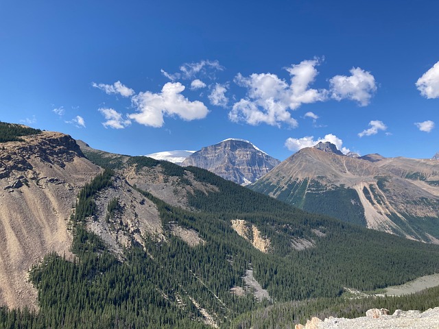 Free Columbia Icefield Banff Snow Mountain photo and picture