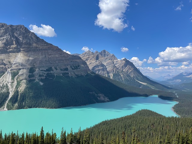 Free Peyto Lake Banff photo and picture