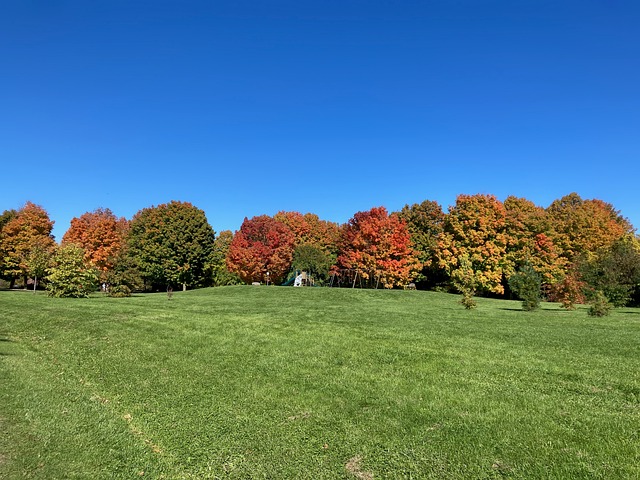 Free Bronte Creek Provincial Park photo and picture