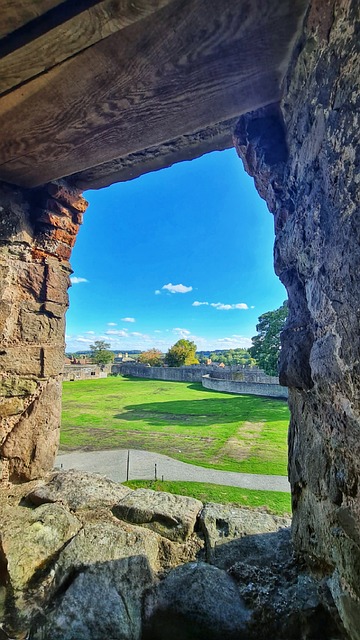 Garten, Natur, Grün, Gras, Rasen