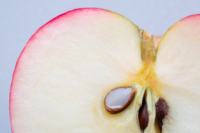 Maçã, Fruta, Sementes, Macro