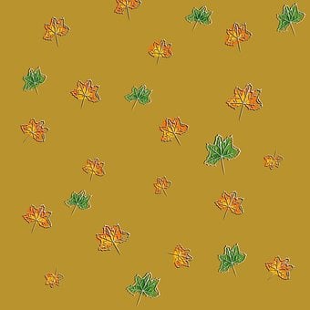 Natur, Ahorn, Ernte, Bäume, Blatt