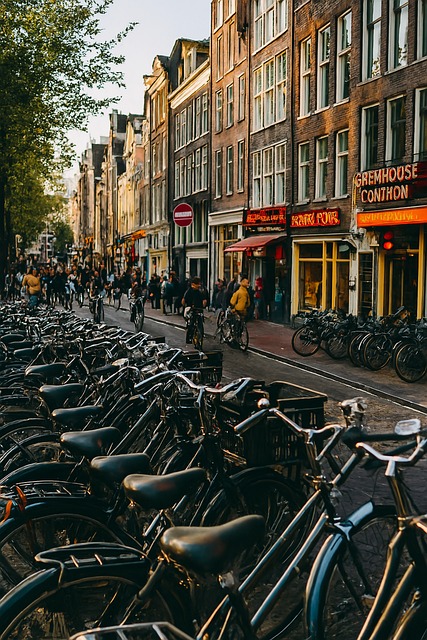 Free Netherlands Bicycles illustration and picture
