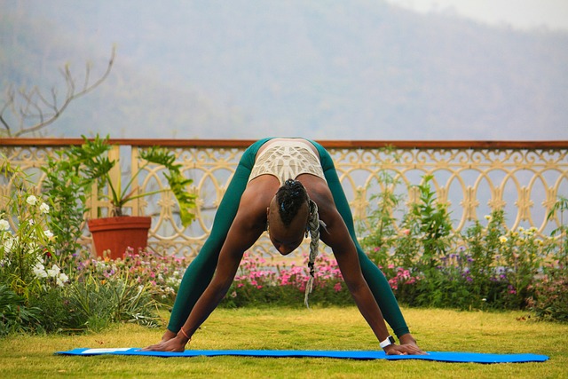 Yoga, Meditation, Kvinde, Dyrke Motion