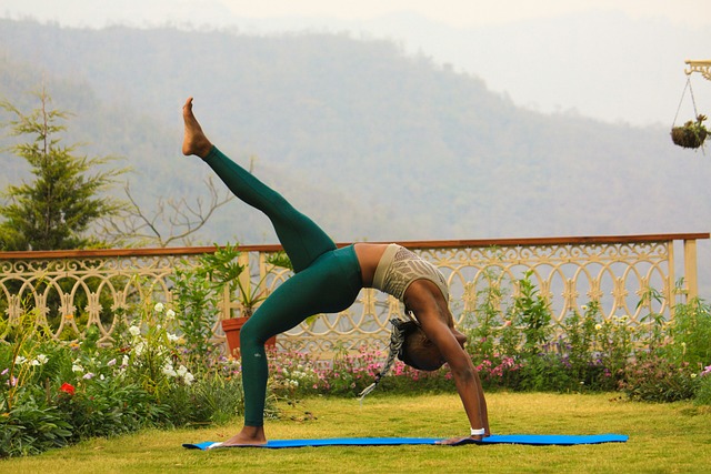 Yoga, Meditation, Kvinde, Dyrke Motion