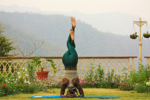 Yoga, Meditation, Kvinde, Dyrke Motion