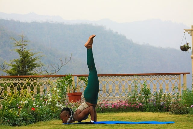 Yoga, Meditation, Kvinde, Dyrke Motion