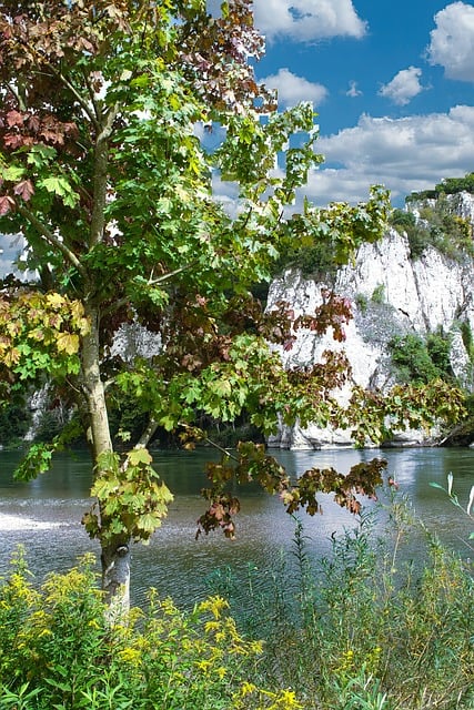 Free Flow Nature illustration and picture