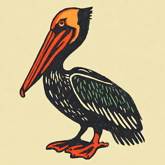 Free pelican bird vintage illustration