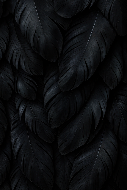 Plumes Noires Plumage De Corbeau - Image gratuite sur Pixabay