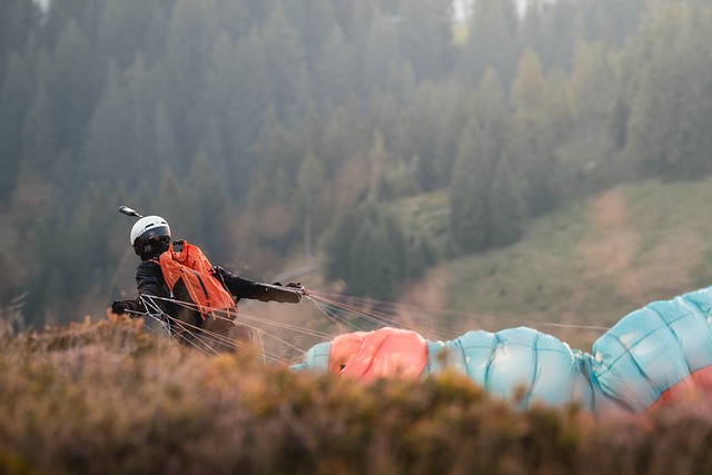 Free Paragliding Adventure photo and picture