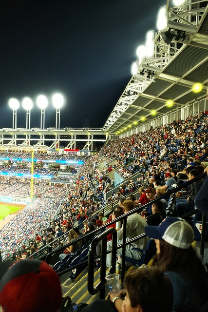 Free Baseball Mlb photo and picture