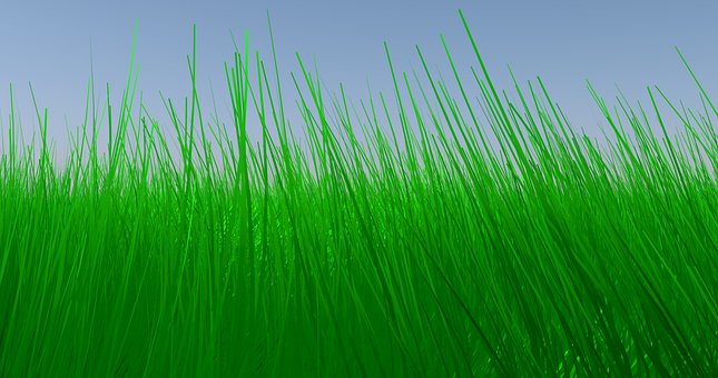 Gras, Hd-Hintergrund, Himmel, Blau, Grün