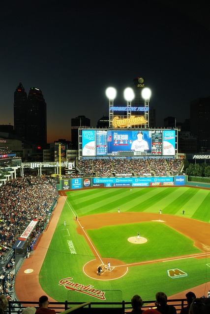 Free Baseball Field Baseball Stadium photo and picture