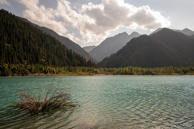 Free Almaty Kazakhstan photo and picture