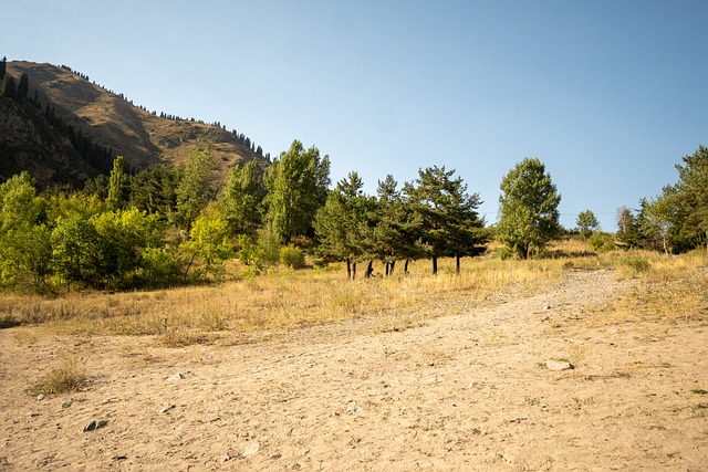 Free Almaty Kazakhstan photo and picture