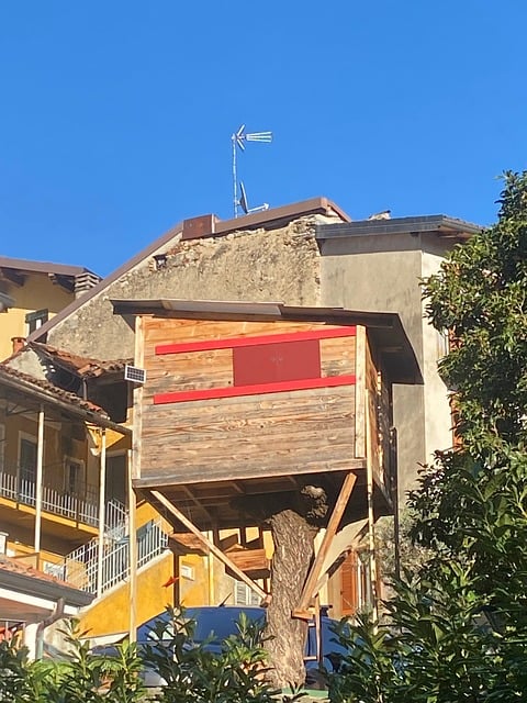 Casă In Copac, Casă, Copac, Colibă