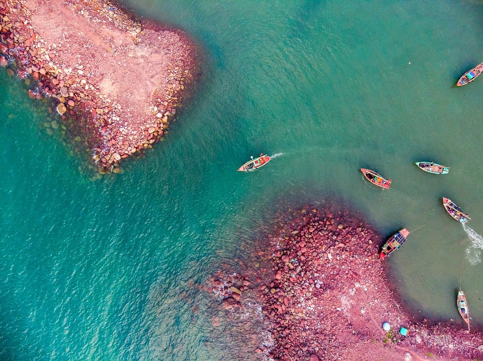 From Spring to Winter: Seasonal Fishing Tips Every Beginner Should Know