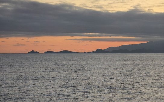 Free Island Wood photo and picture