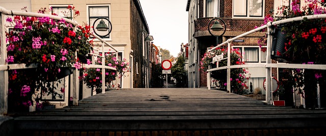 Free Gouda English photo and picture