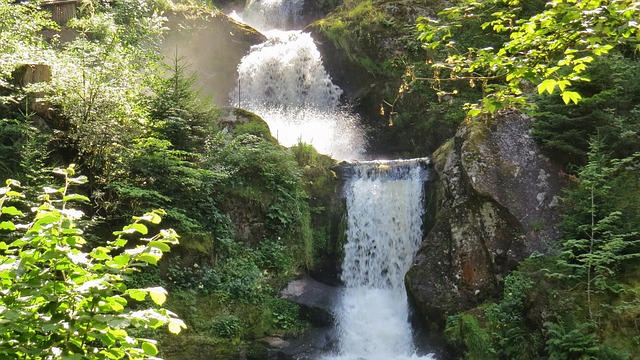 Free Waterfall Nature photo and picture