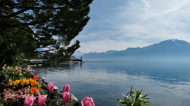 Free Switzerland Montreux photo and picture