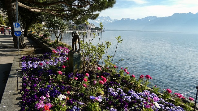 Free Switzerland Montreux photo and picture