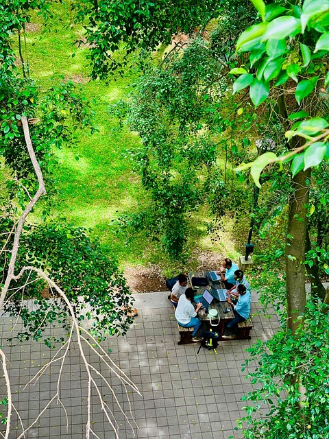 Free Outdoor Workspace Students Studying photo and picture