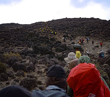 Kilimanjaro, Vandreture, Udendørs, Natur