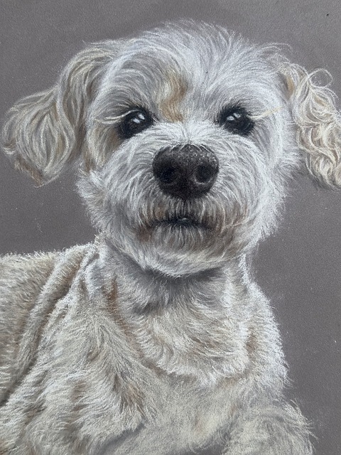Free Puppy Dog photo and picture