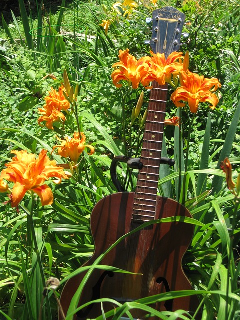 Armonie, 1938, Patrician, Jazz, Chitară