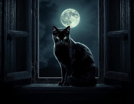 Schwarze Katze, Katze, Katzen, Vollmond