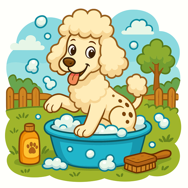 Free dog poodle bath vector