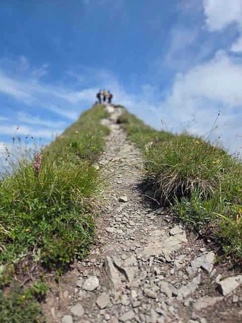 Free Mountain Summit photo and picture