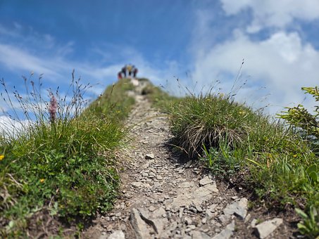 Free Mountain Summit photo and picture