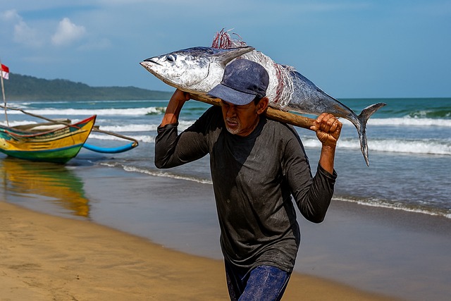 Free fisherman with catch fisherman carrying fish fresh fish catch illustration