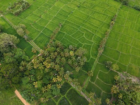 Free Nature Field photo and picture