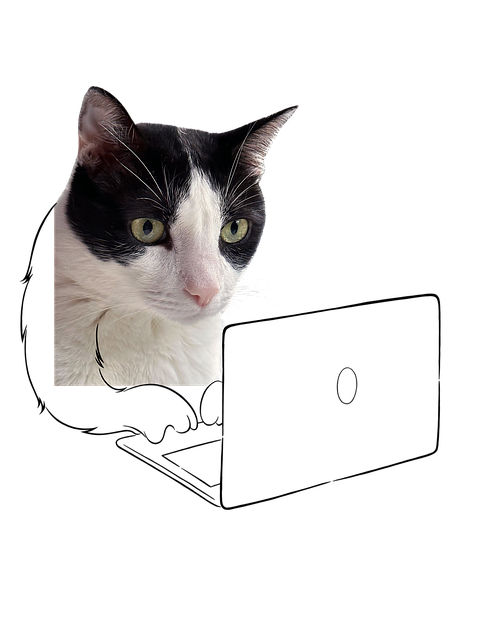 Pisică, Animal, Amuzant, Desen Animat