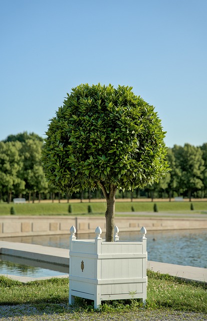 Free Park Nature photo and picture