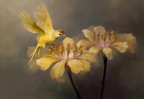 Fantasy, Vogel, Kanarienvogel, Natur