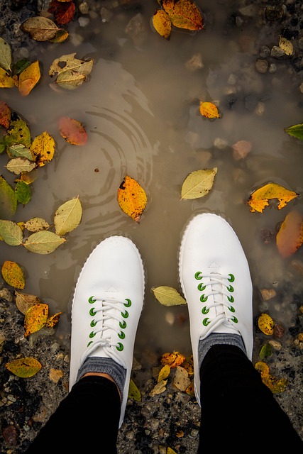 Free Autumn Nature photo and picture