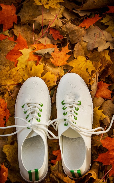 Free Autumn Nature photo and picture