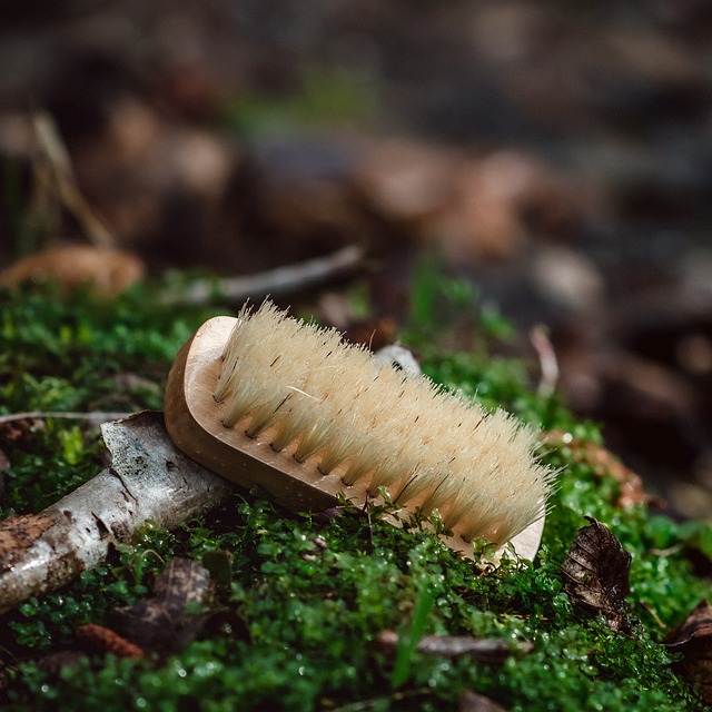Free Autumn Nature photo and picture