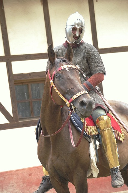 Free Horse Rider photo and picture